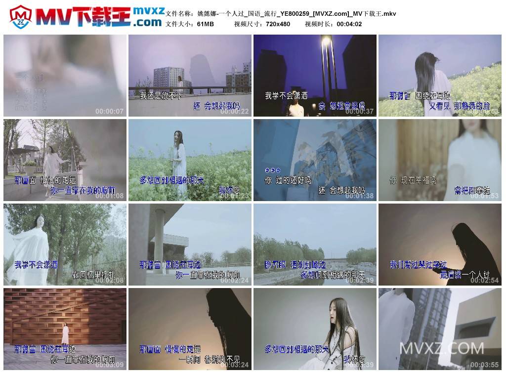 姚懿娜-一个人过_国语_流行_YE800259